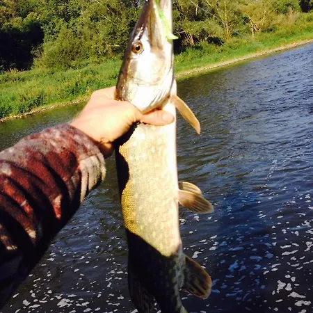 U Reky Appartement Srbsko