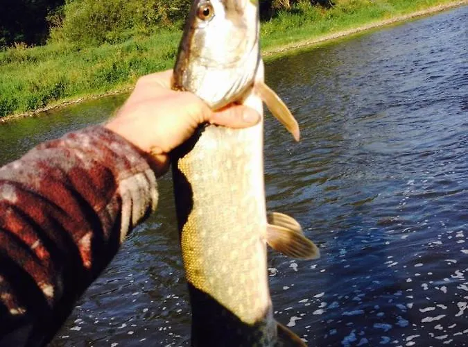 U Reky Apartment Srbsko